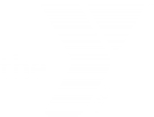 YMCA DC Youth & Government